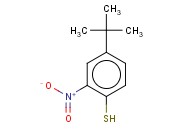 4-<span class='lighter'>叔</span><span class='lighter'>丁基</span>-2-<span class='lighter'>硝基苯</span>硫酚