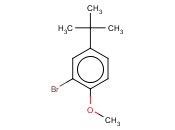 2-BROMO-4-TERT-BUTYL-1-METHOXYBENZENE