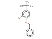 1-BENZYLOXY-2-BROMO-4-T-BUTYLBENZENE