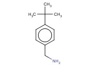 4-<span class='lighter'>叔</span><span class='lighter'>丁基</span>苄<span class='lighter'>胺</span>