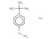 O-(4-TERT-BUTYLPHENYL)HYDROXYLAMINE HYDROCHLORIDE