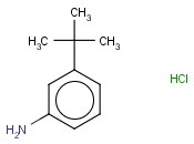 3-TERT-BUTYLANILINE HCL