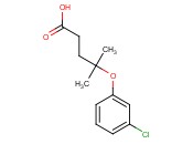 OTAVA-BB <span class='lighter'>1809004</span>