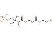 4'-PHOSPHOPANTETHEINE