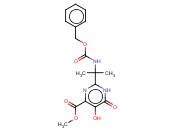 RALTEGRAVIR <span class='lighter'>INTERMEDIATE</span> E