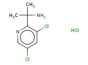2-(3,5-DICHLOROPYRIDIN-2-YL)PROPAN-2-AMINE HYDROCHLORIDE