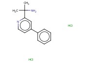 2-(4-PHENYLPYRIDIN-2-YL)PROPAN-2-AMINE DIHYDROCHLORIDE