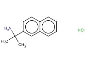 2-(NAPHTHALEN-2-YL)PROPAN-2-AMINE HYDROCHLORIDE