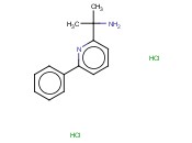 2-(6-PHENYLPYRIDIN-2-YL)PROPAN-2-AMINE DIHYDROCHLORIDE