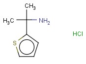 2-(THIOPHEN-2-YL)PROPAN-2-AMINE HYDROCHLORIDE