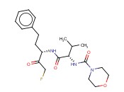 MU-VAL-<span class='lighter'>HOMOPHE</span>-FMK