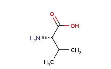 <span class='lighter'>L-VALINE</span>