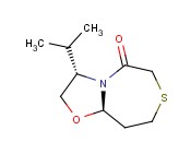 GLEASON <span class='lighter'>CHIRAL</span> AUXILIARY