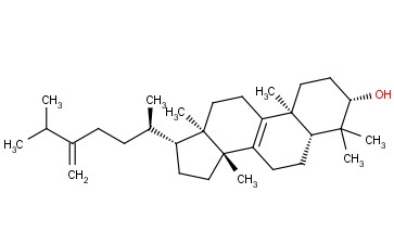 EBURICOL