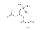ISOBUTYRYL-L-CARNITINE