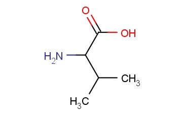 DL-α-<span class='lighter'>氨基</span><span class='lighter'>异</span>戊酸