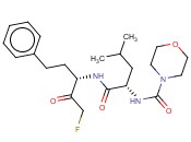 MU-L-<span class='lighter'>HOMOPHE</span>-FMK