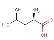 D-亮<span class='lighter'>氨酸</span>