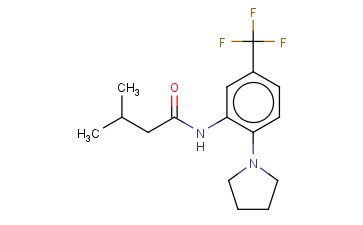 N-(2-PYRROLIDIN-1-YL-5-TRIFLUOROMETHYL-PHENYL)-ISOBUTYRAMIDE