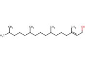 <span class='lighter'>PHYTOL</span>