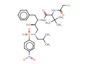2-[(CHLOROACETYL)AMINO]-N-[(1S,2R)-2-HYDROXY-3-[(2-METHYLPROPYL)[(4-NITROPHENYL)SULFONYL]-AMINO]-1-(PHENYLMETHYL)PROPYL]-3,3-DIMETHYL BUTANAMIDE