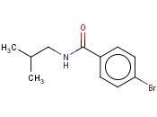 N-<span class='lighter'>异</span>丁基-4-<span class='lighter'>溴</span>苯甲酰胺