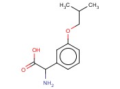 2-AMINO-2-[3-(2-METHYLPROPOXY)PHENYL]ACETIC ACID