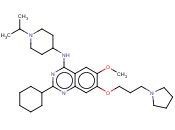 UNC 0638
