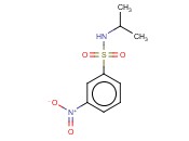 N-ISOPROPYL 3-NITROBENZENESULFONAMIDE