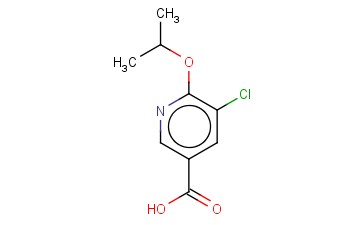 5-<span class='lighter'>氯</span>-6-异丙氧基<span class='lighter'>烟酸</span>