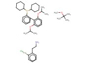 CHLORO(2-DICYCLOHEXYLPHOSPHINO-2',6'-DI-I-PROPOXY-1,1'-BIPHENYL)[2-(2-AMINOETHYLPHENYL)]PALLADIUM(II), METHYL-T-BUTYLETHER ADDUCT