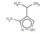 <span class='lighter'>4-ISOPROPYL-1H-PYRAZOL-5-AMINE</span>