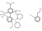 BRETTPHOS PALLADACYCLE