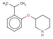 3-(2-<span class='lighter'>异</span>丙基苯氧基)<span class='lighter'>哌啶</span>