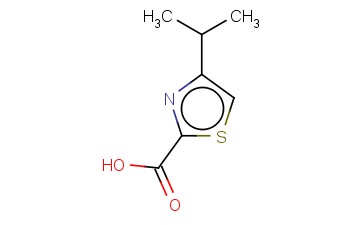 <span class='lighter'>4-ISOPROPYLTHIAZOLE-2-CARBOXYLIC</span> ACID