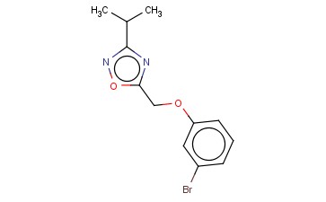 5-(3-BROMOPHENOXYMETHYL)-3-(PROPAN-2-YL)-1,2,4-OXADIAZOLE
