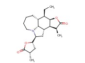 NEOTUBEROSTEMONINE