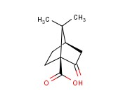 (1S,4R)-7,7-Dimethyl-2-oxobicyclo[2.2.1]heptane-1-carboxylic acid