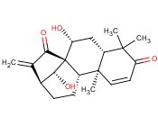 LIANGSHANIN A
