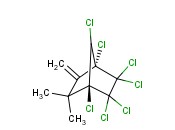 <span class='lighter'>TERBUFOS-OXON-SULFONE</span>