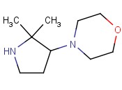 4-(2,2-DIMETHYL-3-PYRROLIDINYL)MORPHOLINE