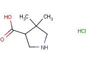 4,4-二<span class='lighter'>甲基</span><span class='lighter'>吡咯烷</span>-3-羧酸盐酸盐