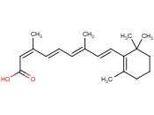 13-<span class='lighter'>cis</span>-Retinoic acid