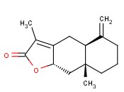 白术内酯II