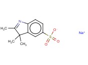 5-SULFO-2,3,3-TRIMETHYL INDOLENINE SODIUM SALT