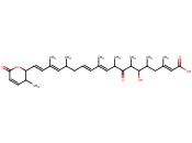 LEPTOMYCIN A