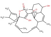TETROMYCIN B