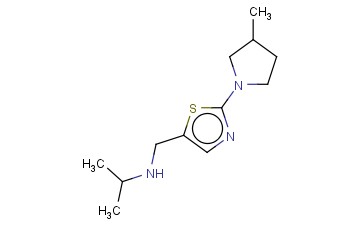 ([2-(3-METHYLPYRROLIDIN-1-YL)-1,3-THIAZOL-5-YL]METHYL)(PROPAN-2-YL)AMINE