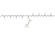 1,2-DI-O-PHYTANYL-SN-GLYCERO-3-PHOSPHOCHOLINE