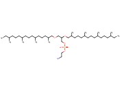 1,2-DI-O-PHYTANYL-SN-GLYCERO-3-PHOSPHOETHANOLAMINE